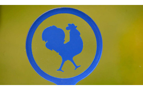 Covid-19 : Modification du calendrier national amateur 2020 (jusqu'à fin juillet)